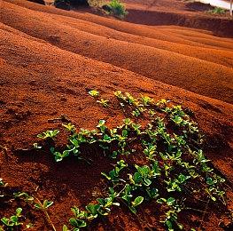 《喋血复仇》12月大更新日志 离线战役支持进度